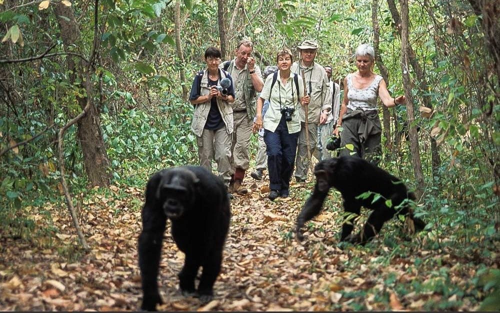 Mahale Mountains National Park