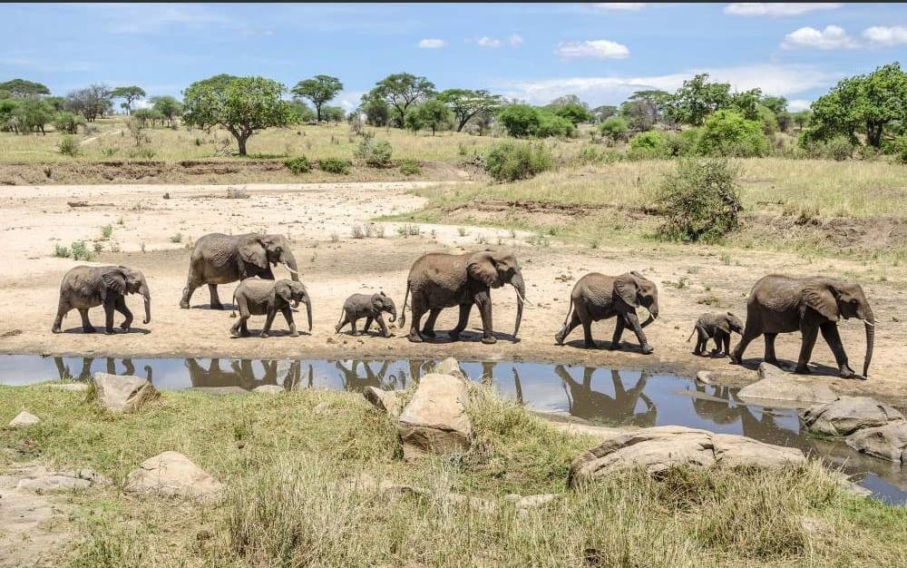 Tarangire National Park