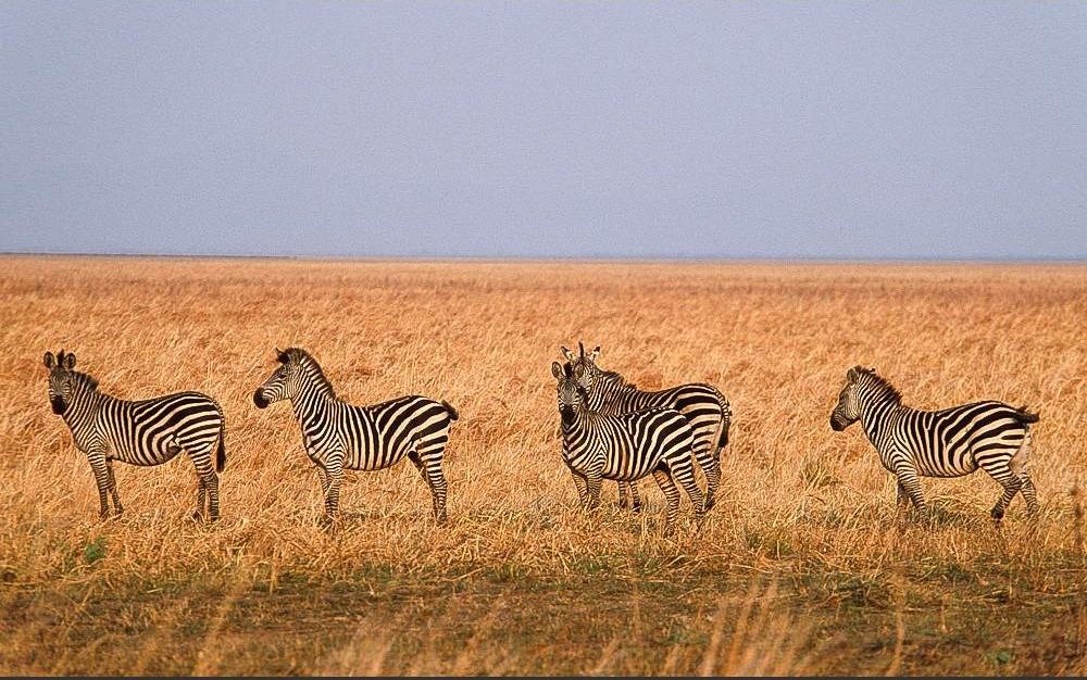 Katavi National Park