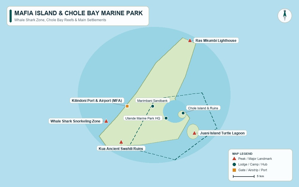 Whale Shark Snorkeling — Mafia map preview