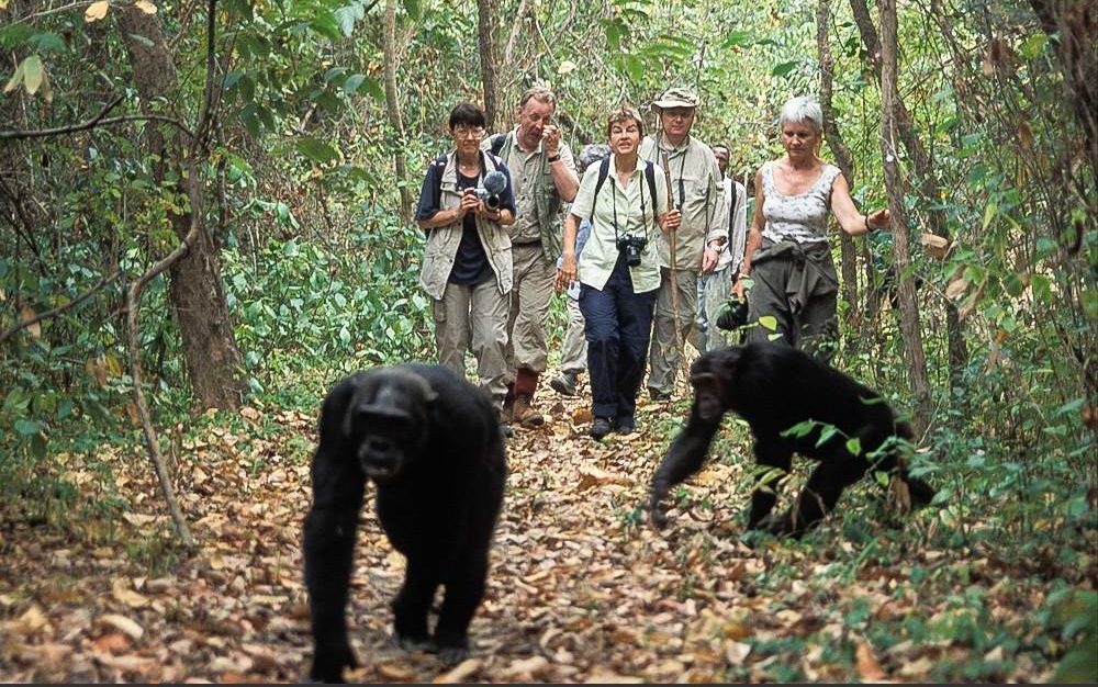 Mahale Mountains National Park
