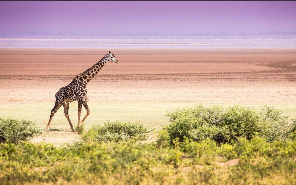 Lake Manyara