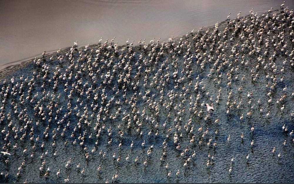 Lake Natron