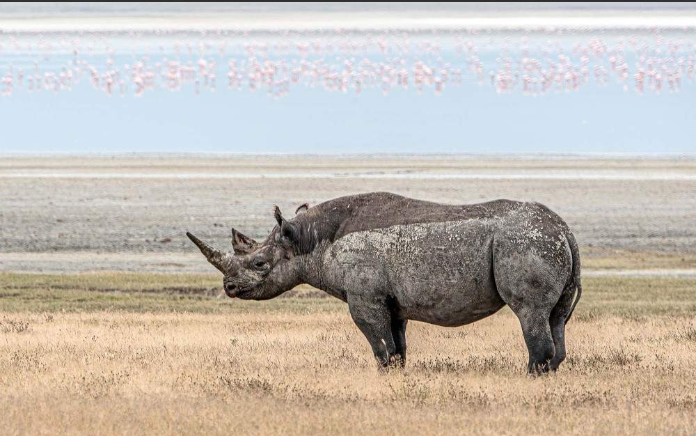 Ngorongoro Crater