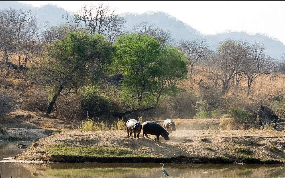 Ruaha National Park