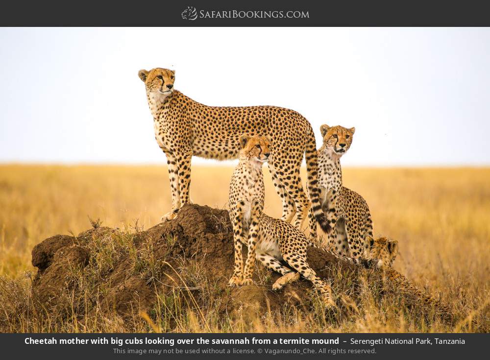Serengeti National Park